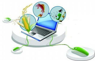 計(jì)算機(jī)網(wǎng)絡(luò)工程驅(qū)動(dòng)農(nóng)村電商市場(chǎng)邁向萬億新紀(jì)元